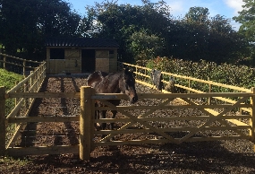 George Merrick Fencing Services Ledbury